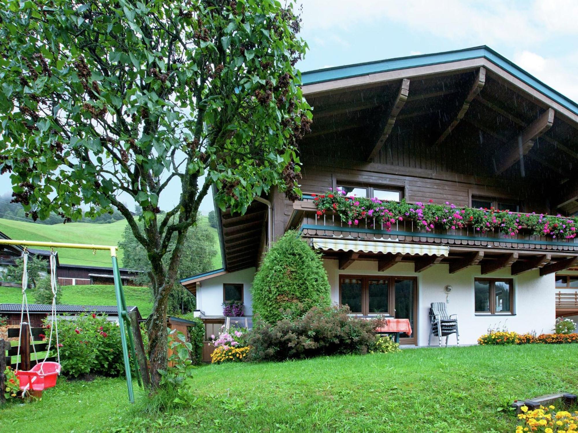 Near The Area